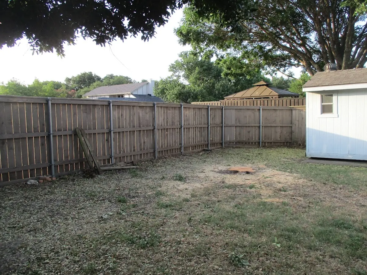 Cleared yard after professional tree removal in Woodstown